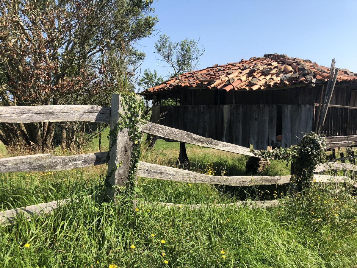 La Tejera Hotel